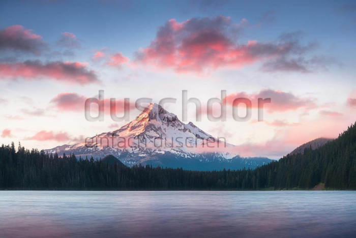 Shutterstock 1279362727